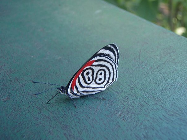 please!!! tell me what is it! any information! thanx in advance