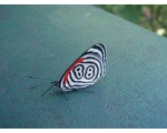 please!!! tell me what is it! any information! thanx in advance
